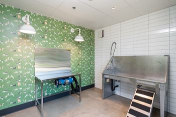 Henley Place Apartments in Milwaukie, Oregon Pet Spa